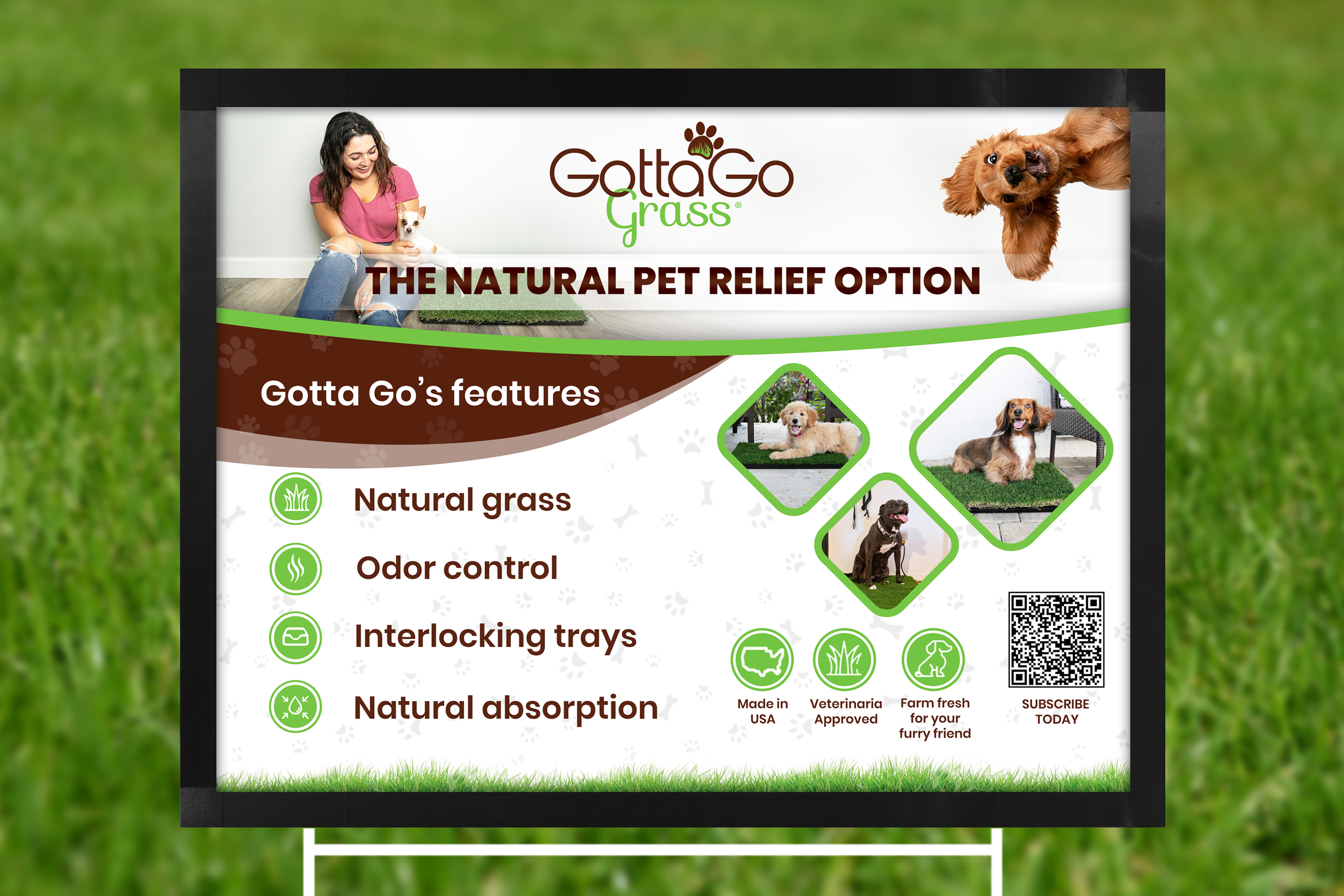 Poster Design by SAI DESIGNS for this project | Design #27862058