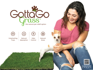 Poster Design by Maxo-Biz for this project | Design: #27855226