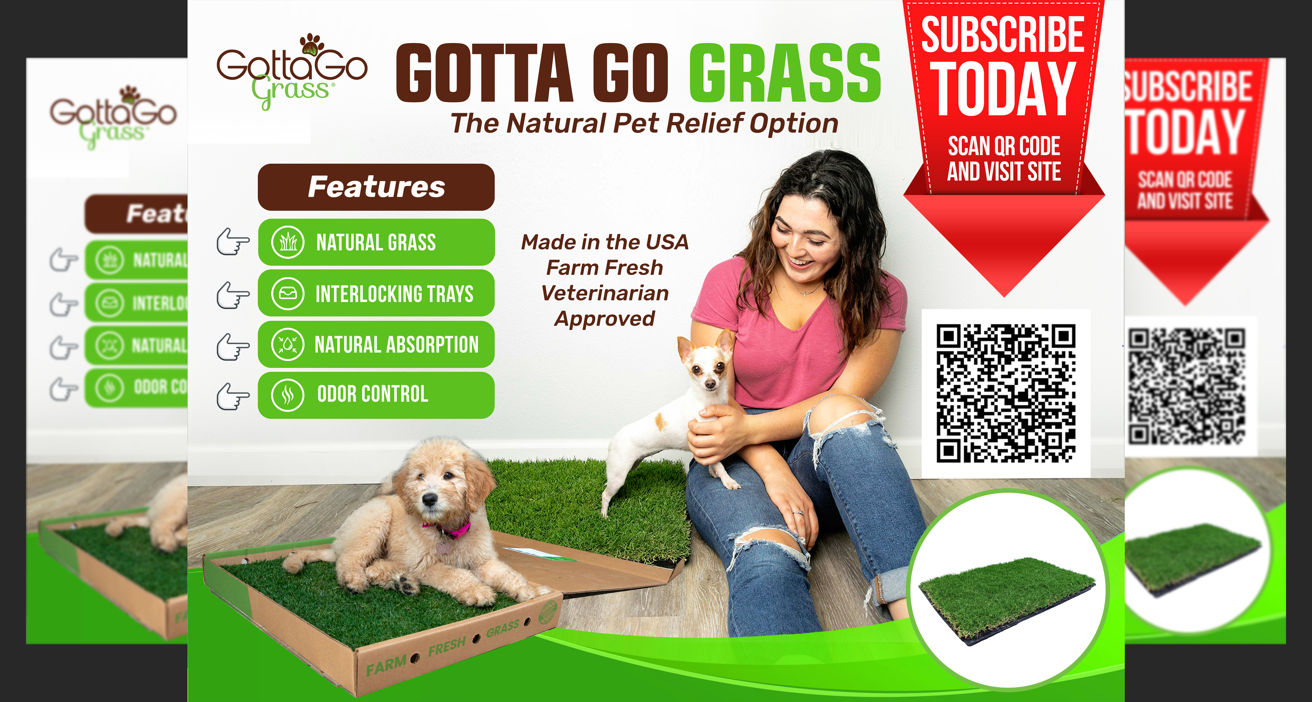 Poster Design by aj for this project | Design #27873593