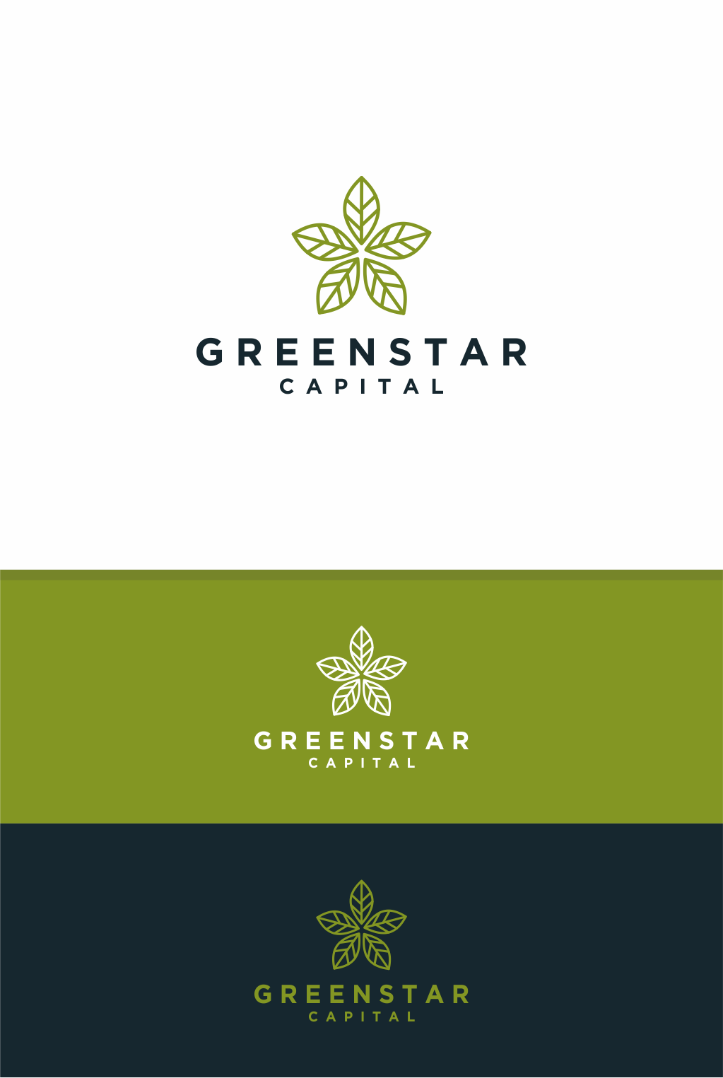 Logo Design by MASH Std for this project | Design #27853212