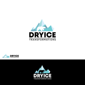Logo Design by TalhaShaikh 12 for Dry Ice Transformations, LLC | Design #27864596