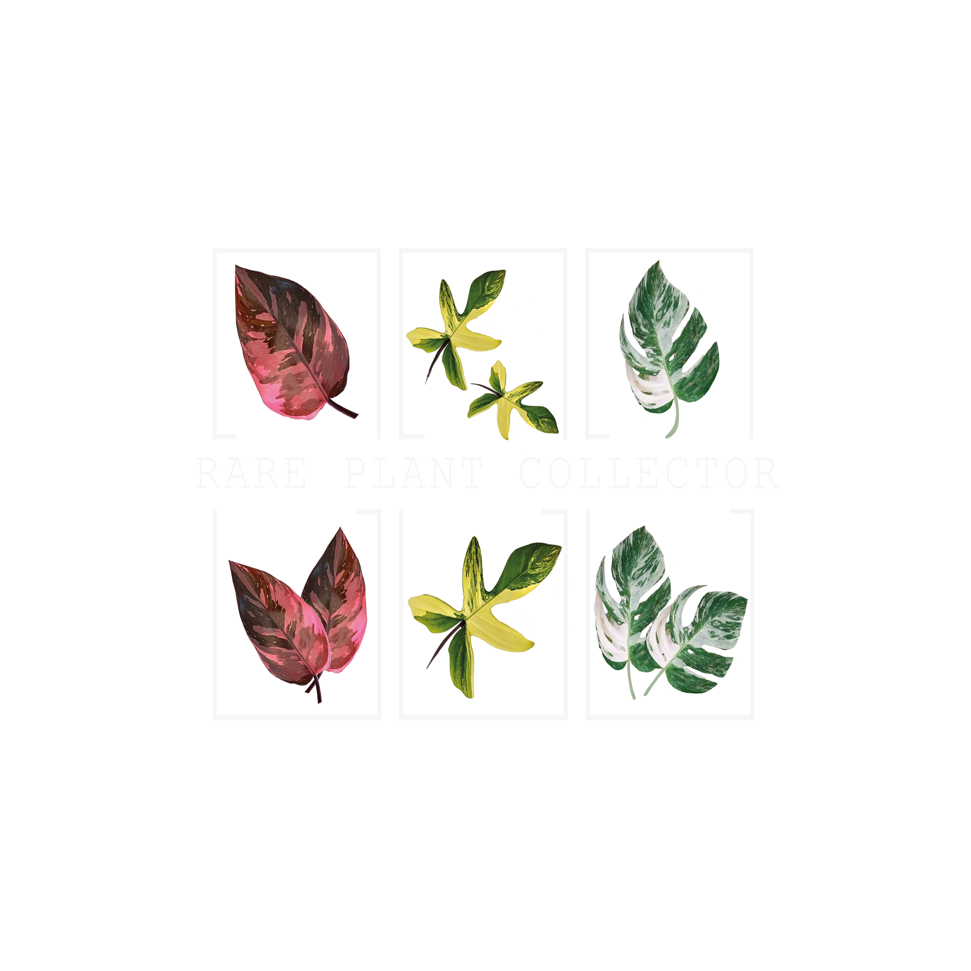 T-shirt Design by jo10 for this project | Design #27878288