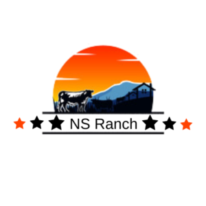Logo Design by Iftimie