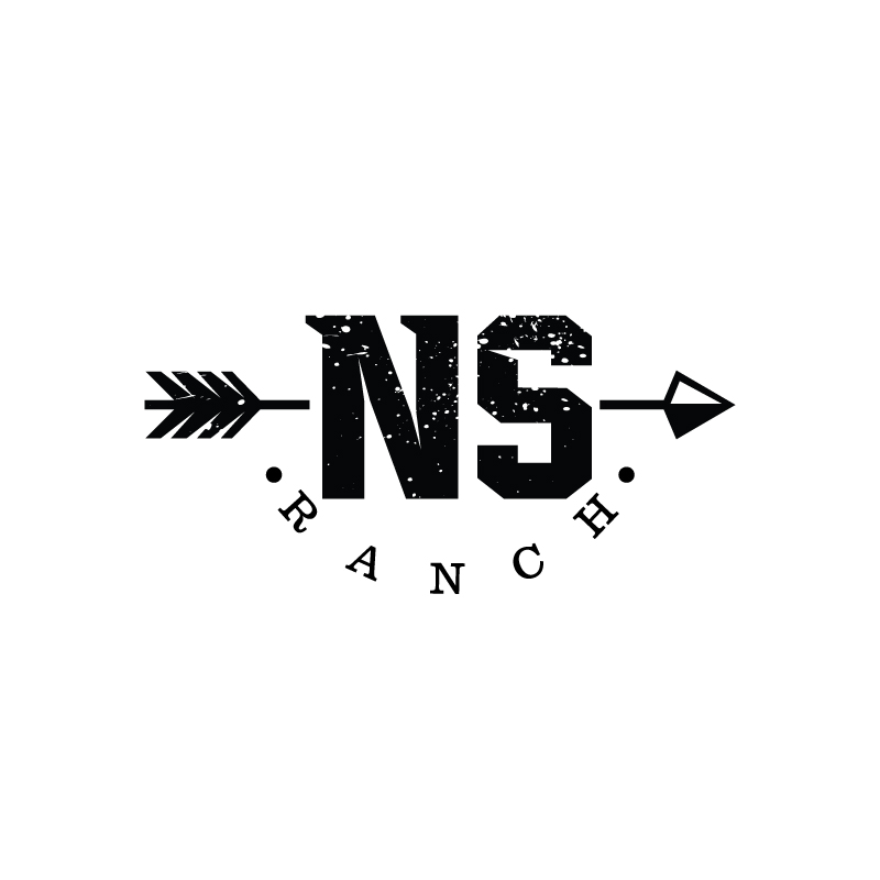 Diseño de Logo por Ansh Design para este proyecto | Diseño #27868179