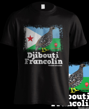 T-shirt Design by rickyadri for DISCORAMA | Design: #27898680