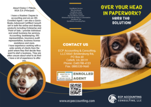 Brochure Design by designersaumya 2 for ECP Accounting & Consulting, LLC | Design: #27907286