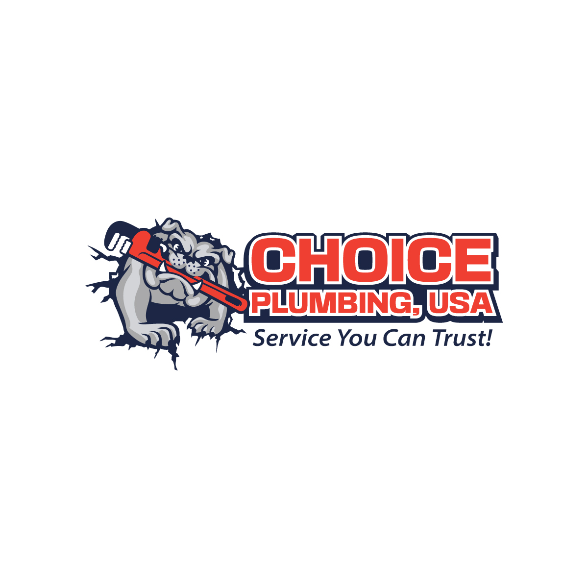 Logo Design by sourgraping for Choice plumbing usa | Design #27895802