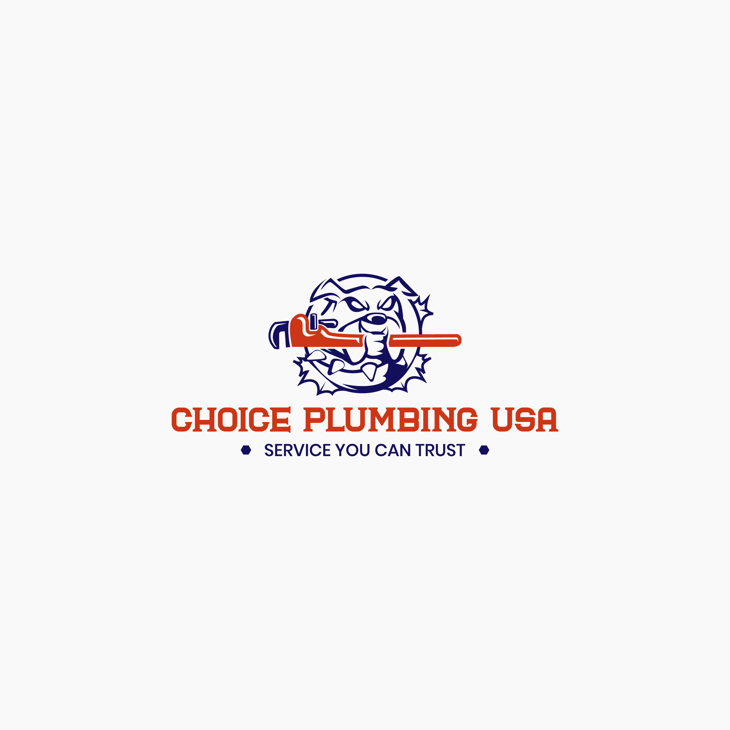 Diseño de Logo por Rusty Circle para Choice plumbing usa | Diseño #27925051