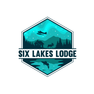 Logo Design by Dream Logo Design