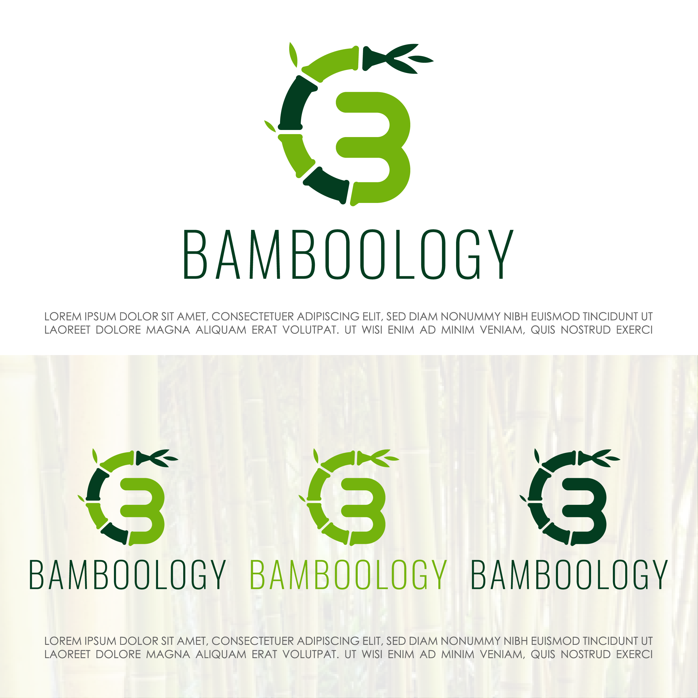 Diseño de Logo por Walker Designer 2 para Bamboology Co. | Diseño #27907378