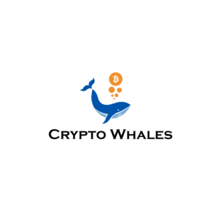Logo Design by Ameeee