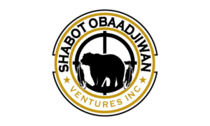 Logo Design by logoQ for this project | Design: #27929318