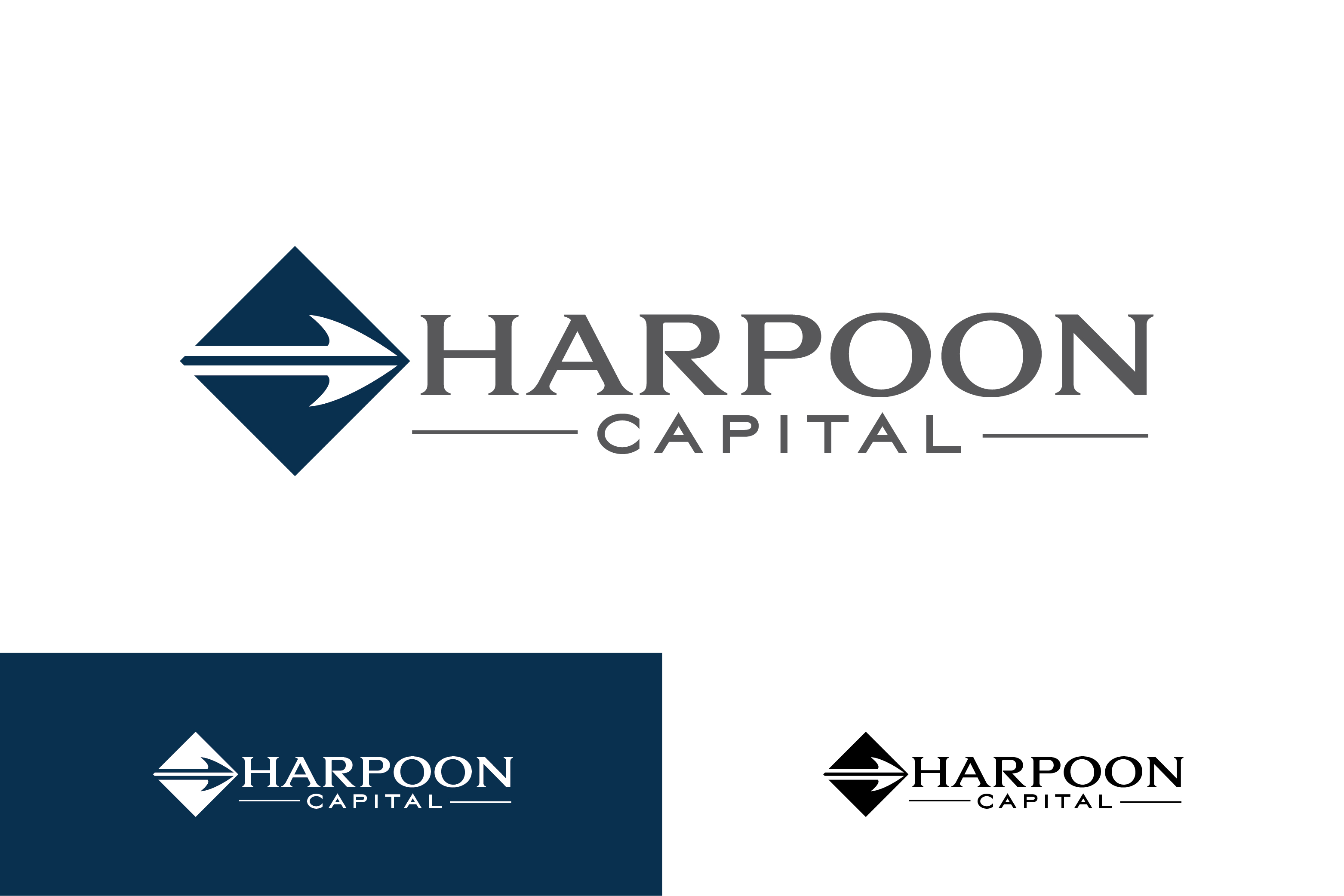 Logo Design by renderman for this project | Design #27916536