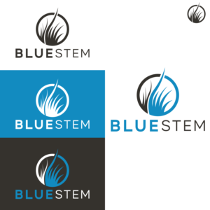 Logo Design by Designx333