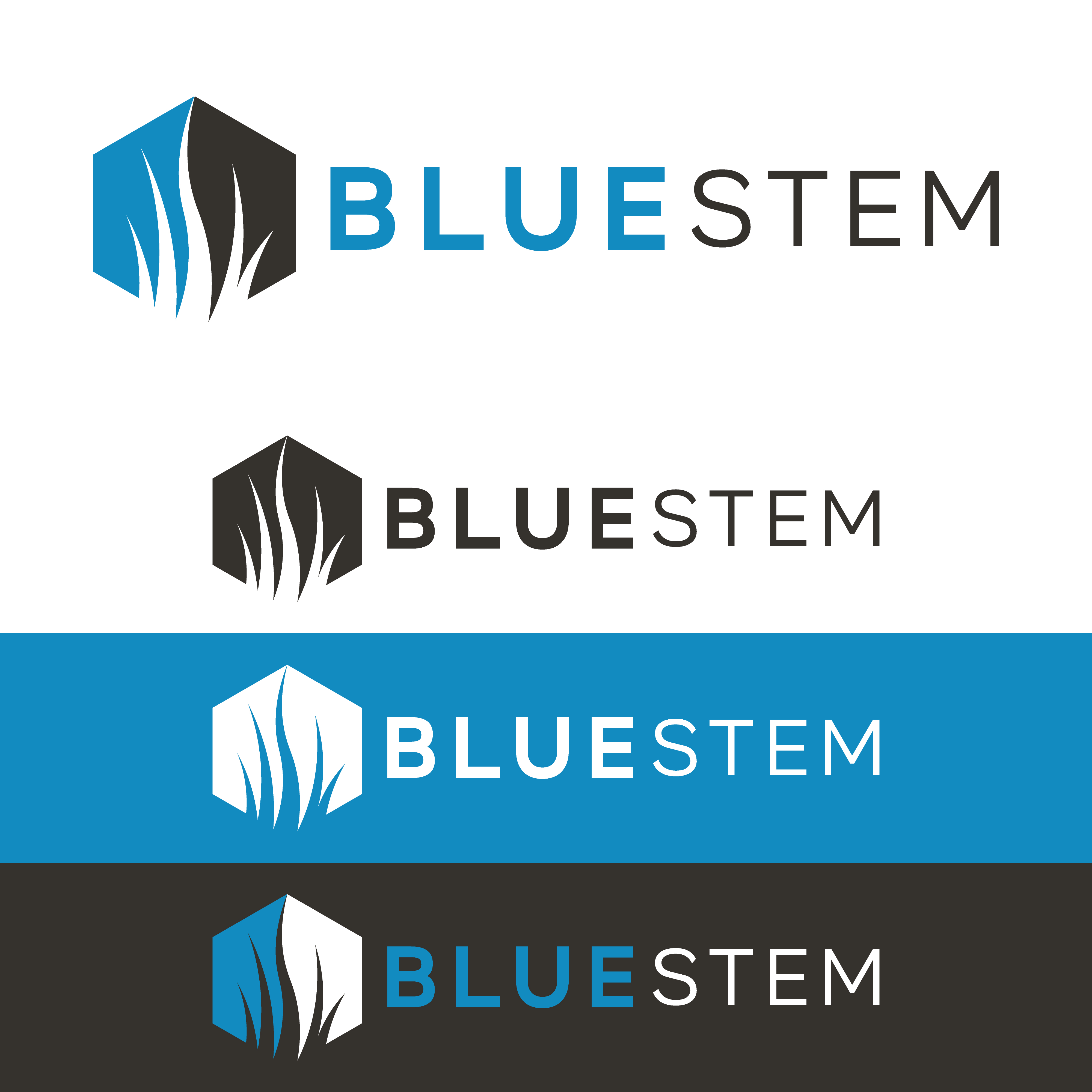 Logo Design by Designx333 for this project | Design #27954968