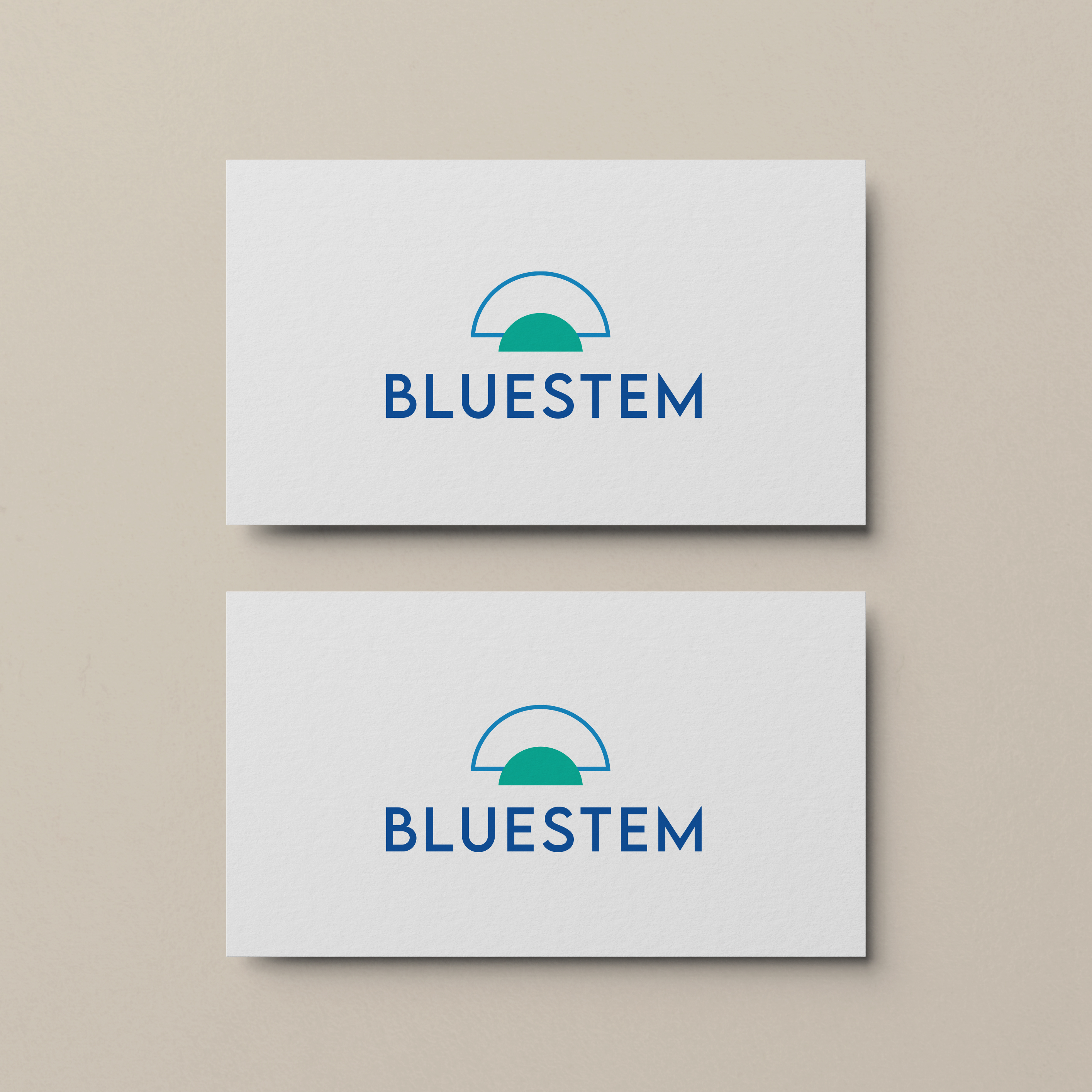 Logo Design by Briana Rae Designs for this project | Design #27933182