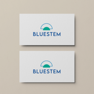 Logo Design by Briana Rae Designs for this project | Design: #27933182