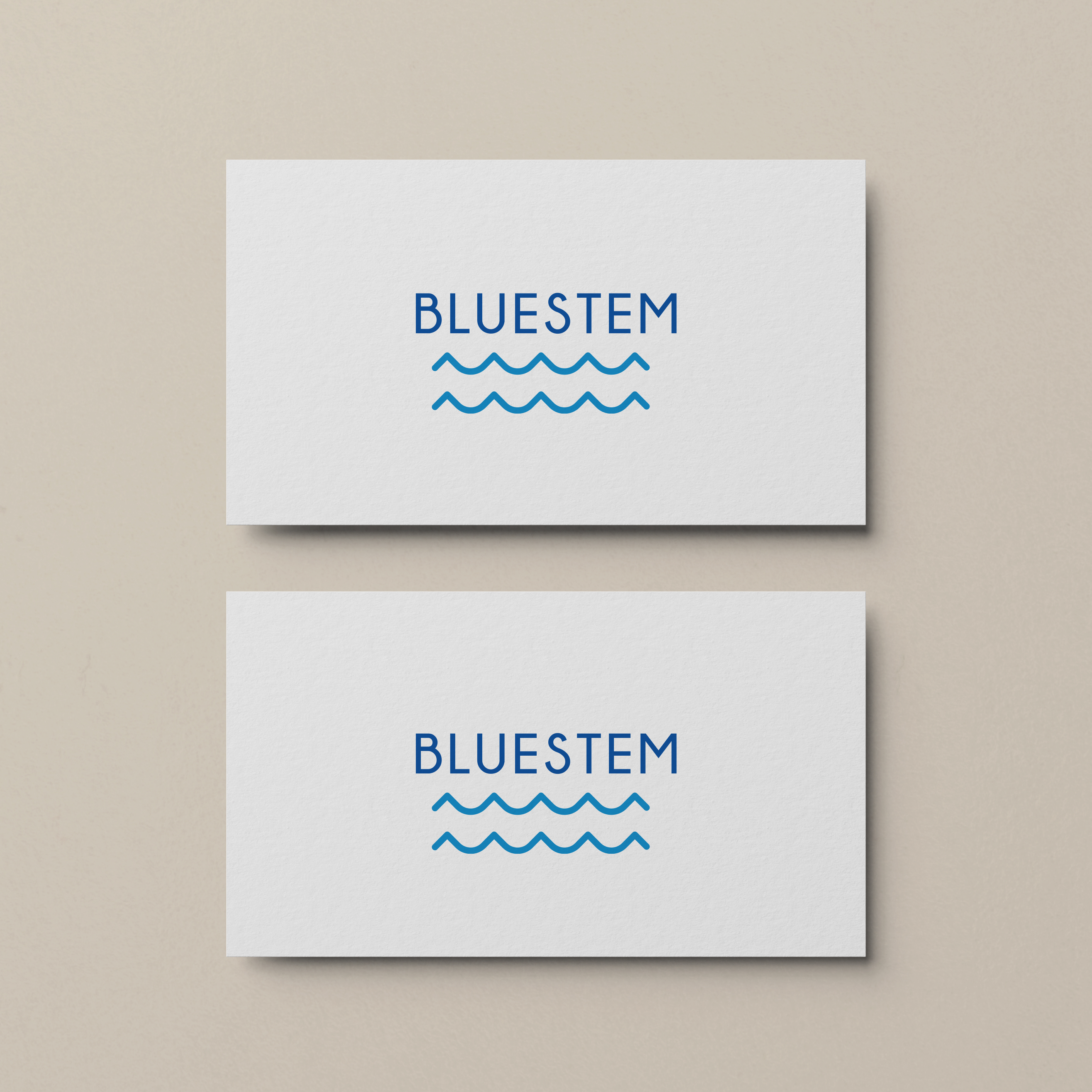 Logo Design by Briana Rae Designs for this project | Design #27933189