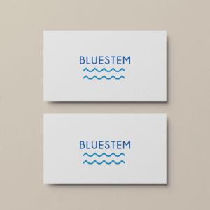 Logo Design by Briana Rae Designs for this project | Design: #27933189