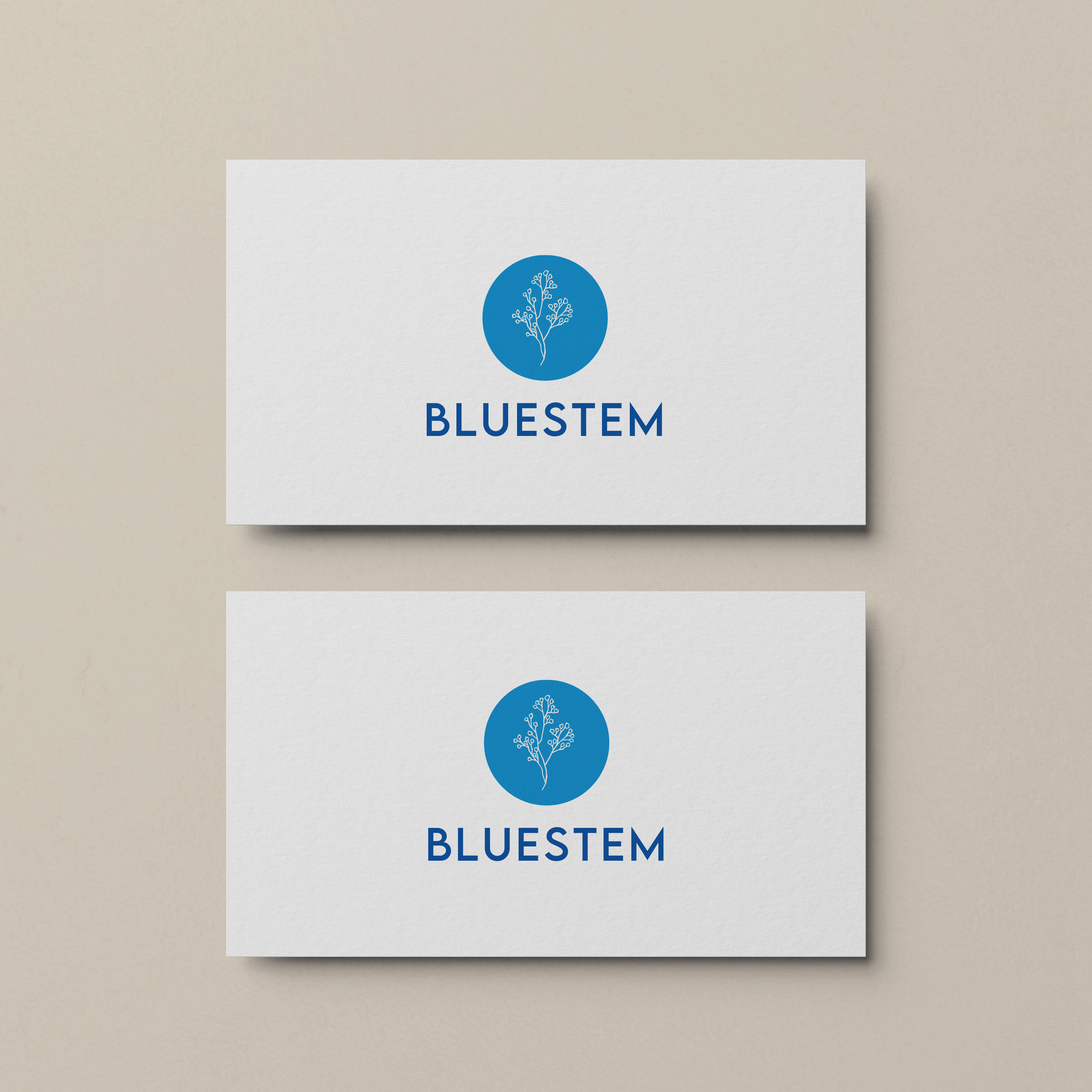 Logo Design by Briana Rae Designs for this project | Design #27933193
