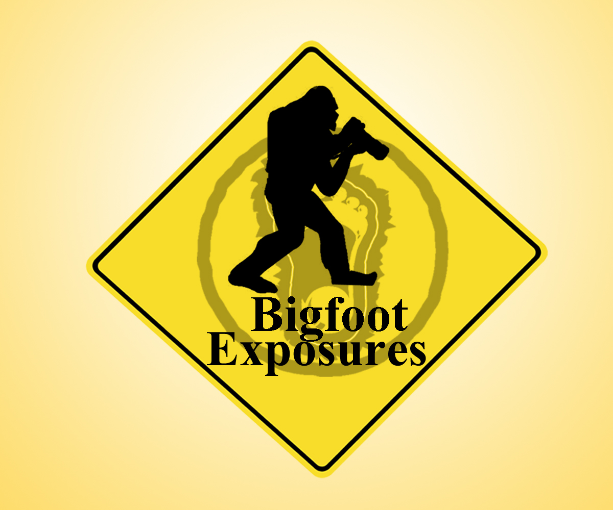 Diseño de Logo por rtmoon para este proyecto | Diseño #3091926