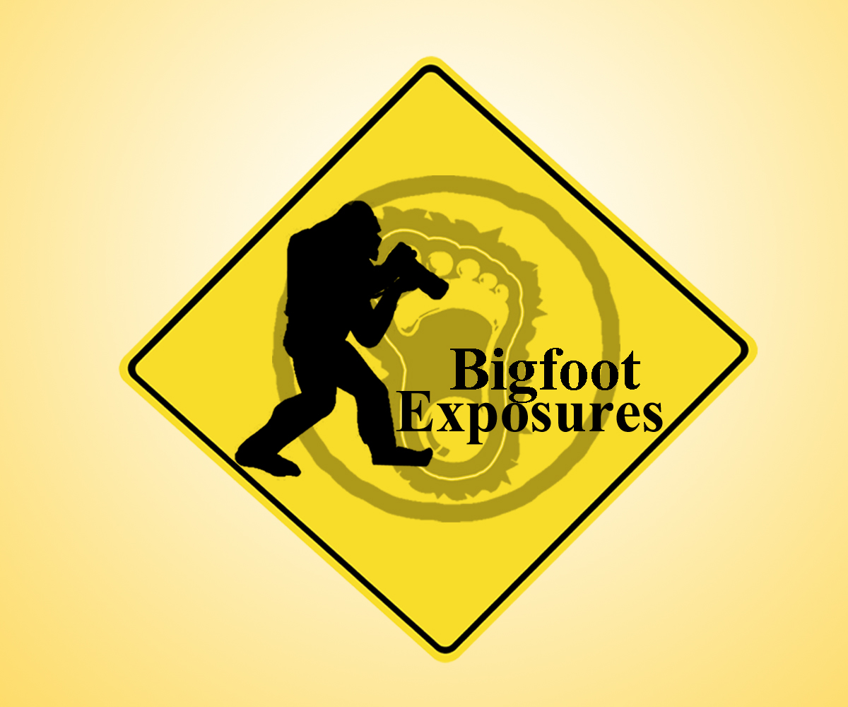 Diseño de Logo por rtmoon para este proyecto | Diseño #3092572