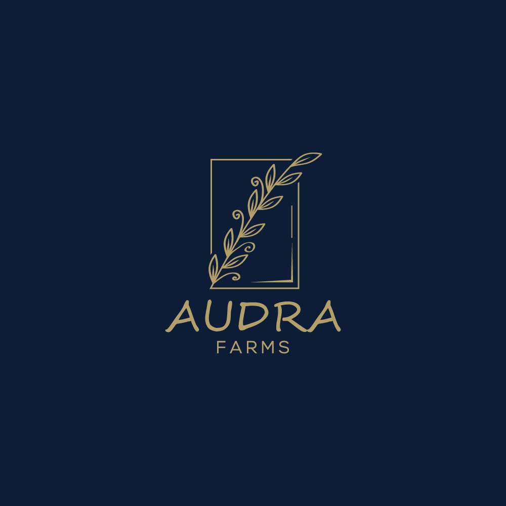 Diseño de Logo por creative.bugs para Spirit Station | Diseño #27935905