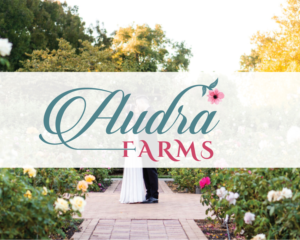 Diseño de Logo por Rubia@ para Spirit Station | Diseño: #27942398