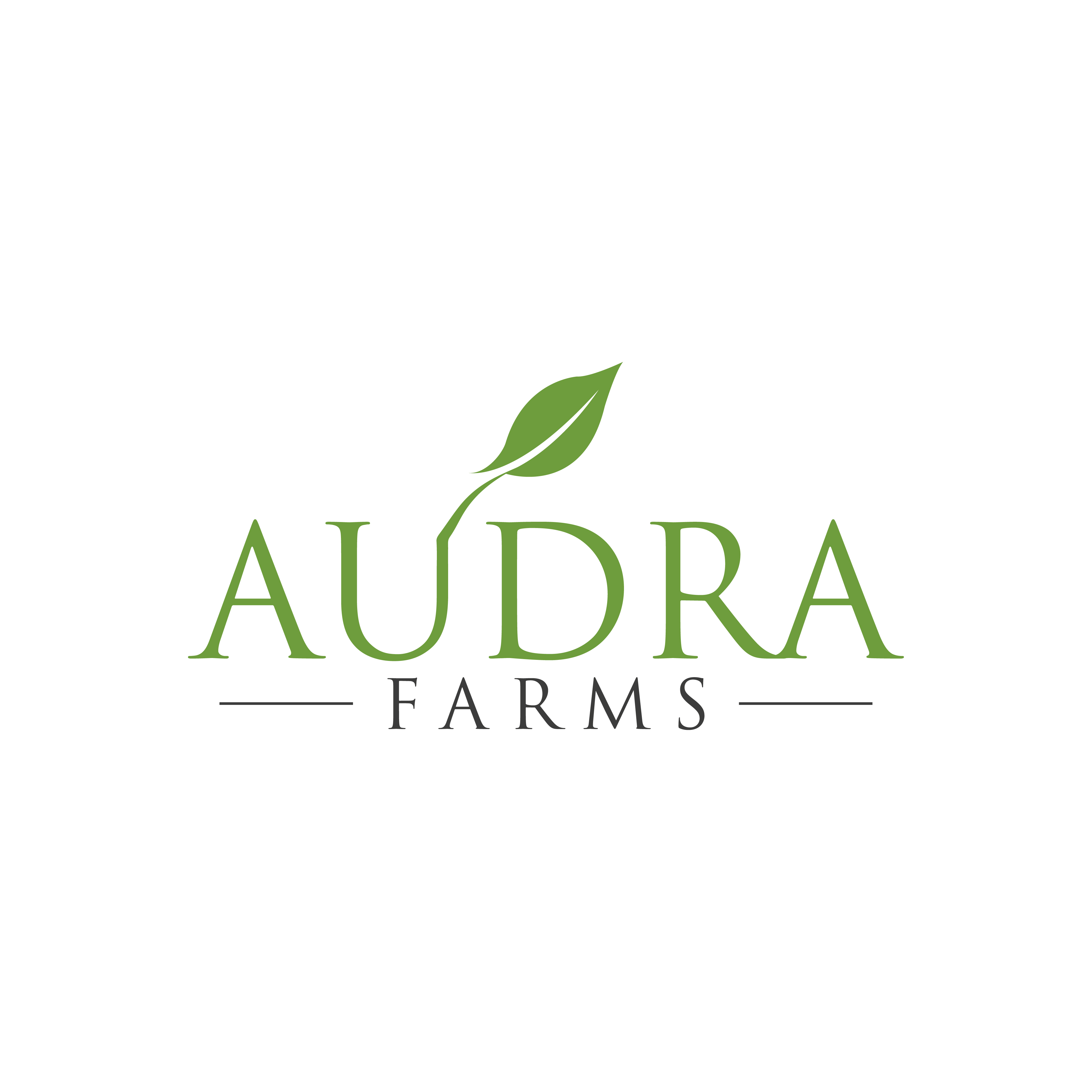 Diseño de Logo por CrewType para Spirit Station | Diseño #27938846