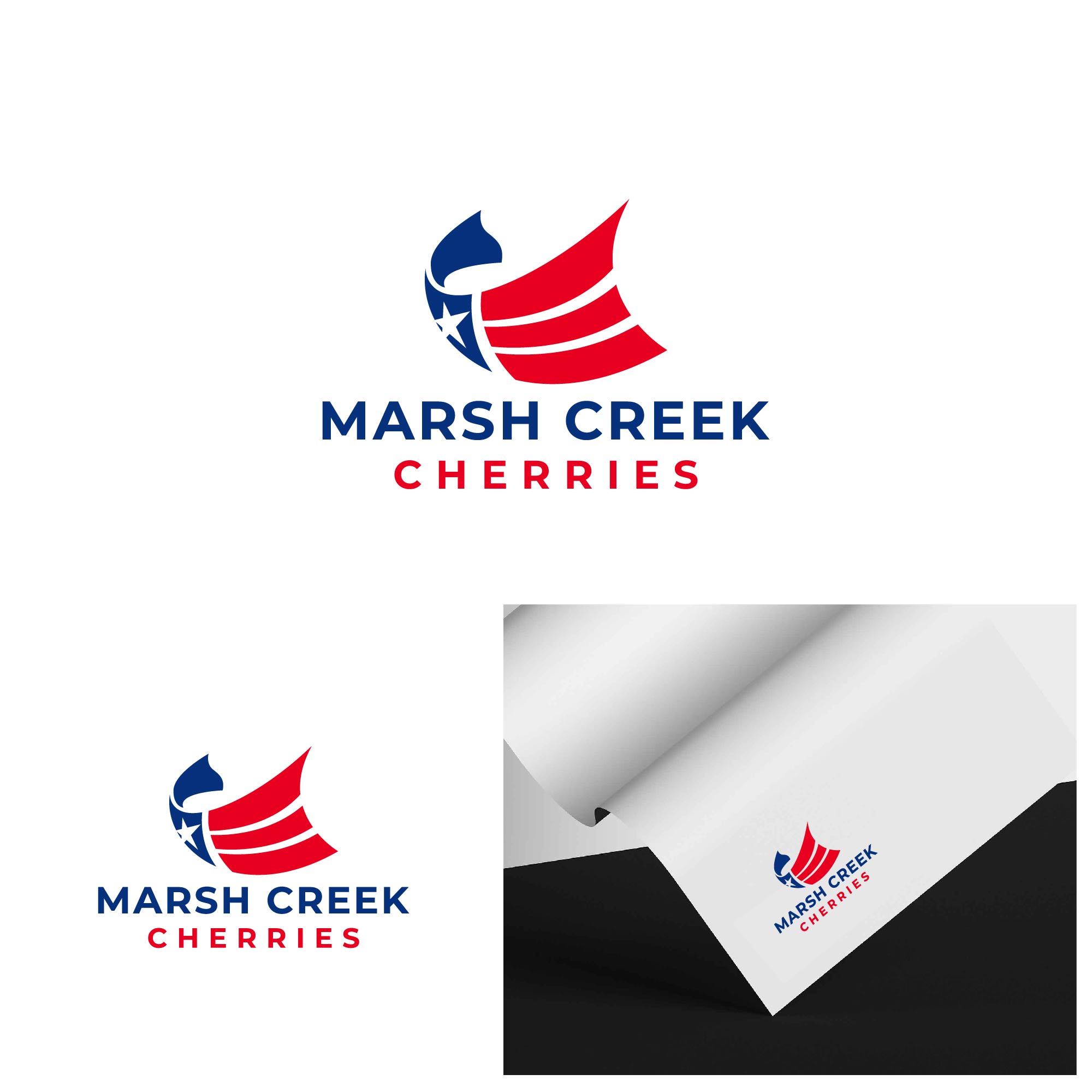 Logo Design by creative.bugs for this project | Design #27939765