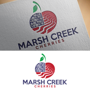 Logo Design by brand maker