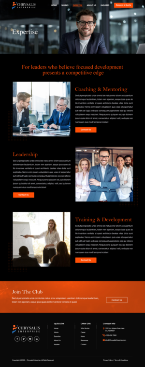 Web Design by Titan Eagle for R Software | Design: #27990620