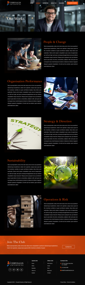 Web Design by Titan Eagle for R Software | Design: #27990622