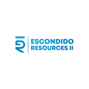 Logo Design by Rozin