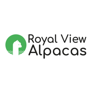Logo Design by Egor_Nay