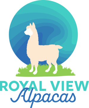 Logo Design by Abby Mahr