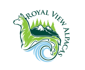 Logo Design by blue eye