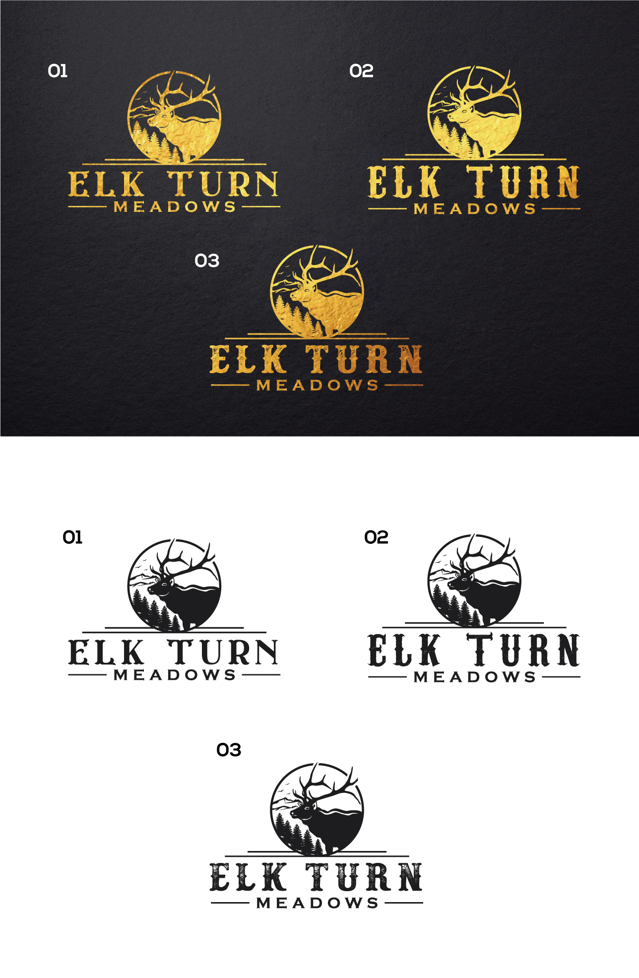 Logo Design by step forward 2 for this project | Design #27986288