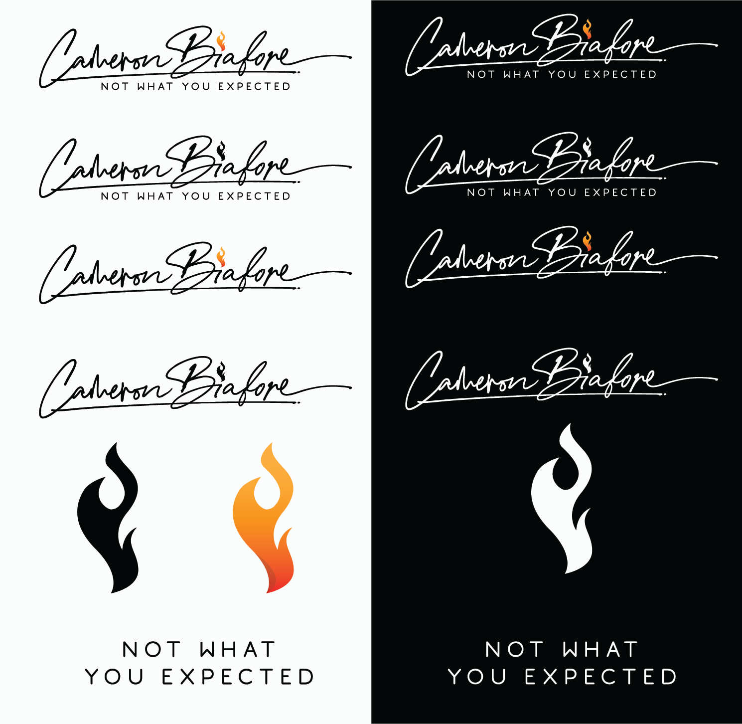 Logo Design by Alice Black for this project | Design #28020456