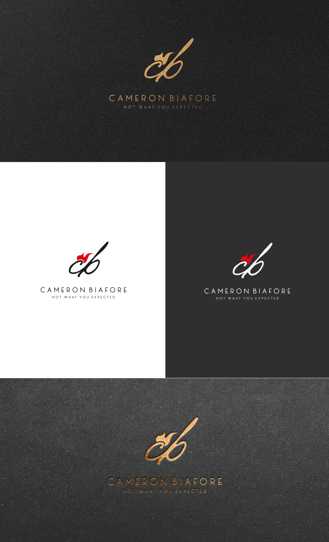 Logo Design by GLDesigns for this project | Design #27965184