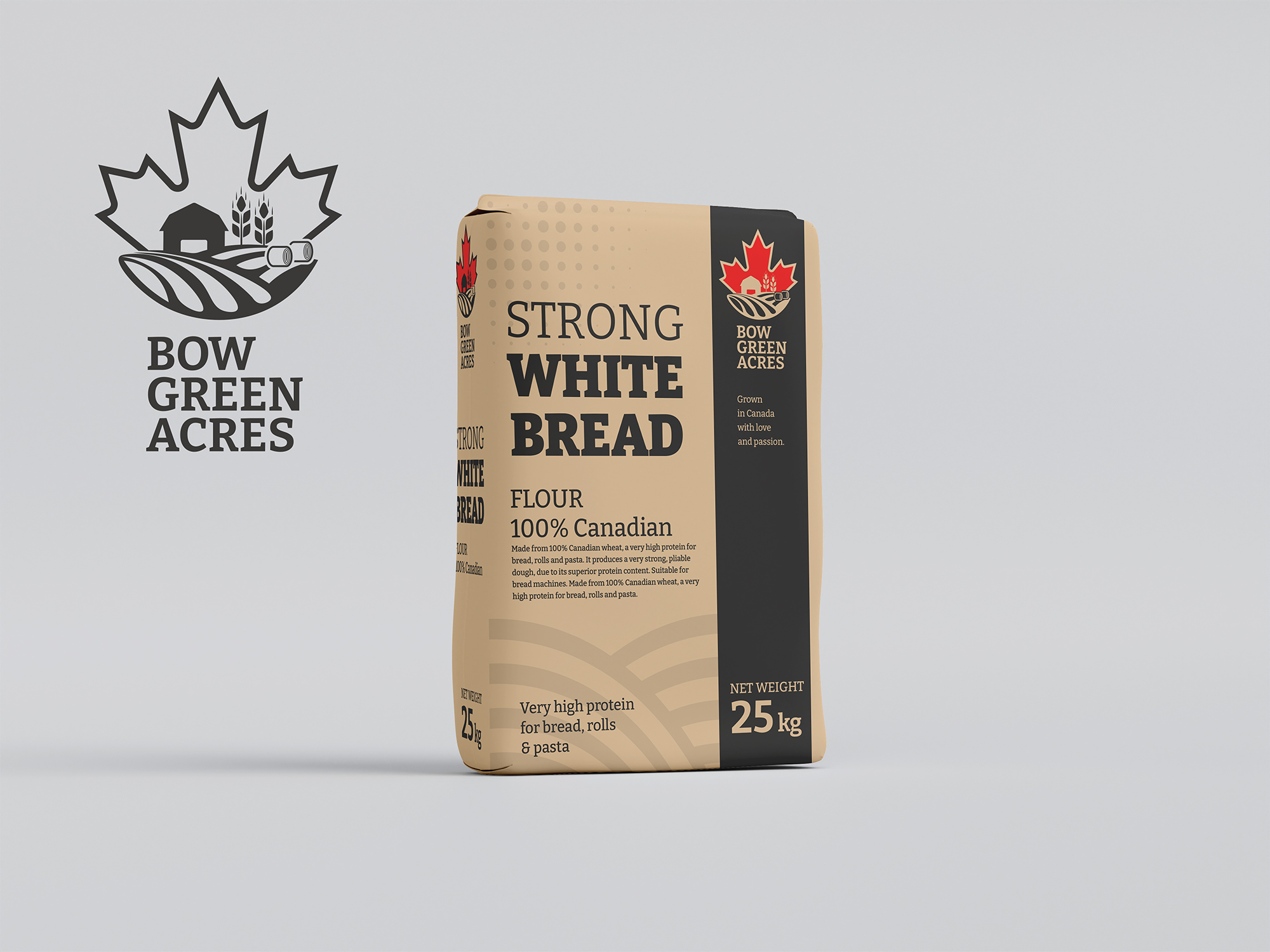 Logo Design by P_monk for BowGreen Environmental | Design #27955564