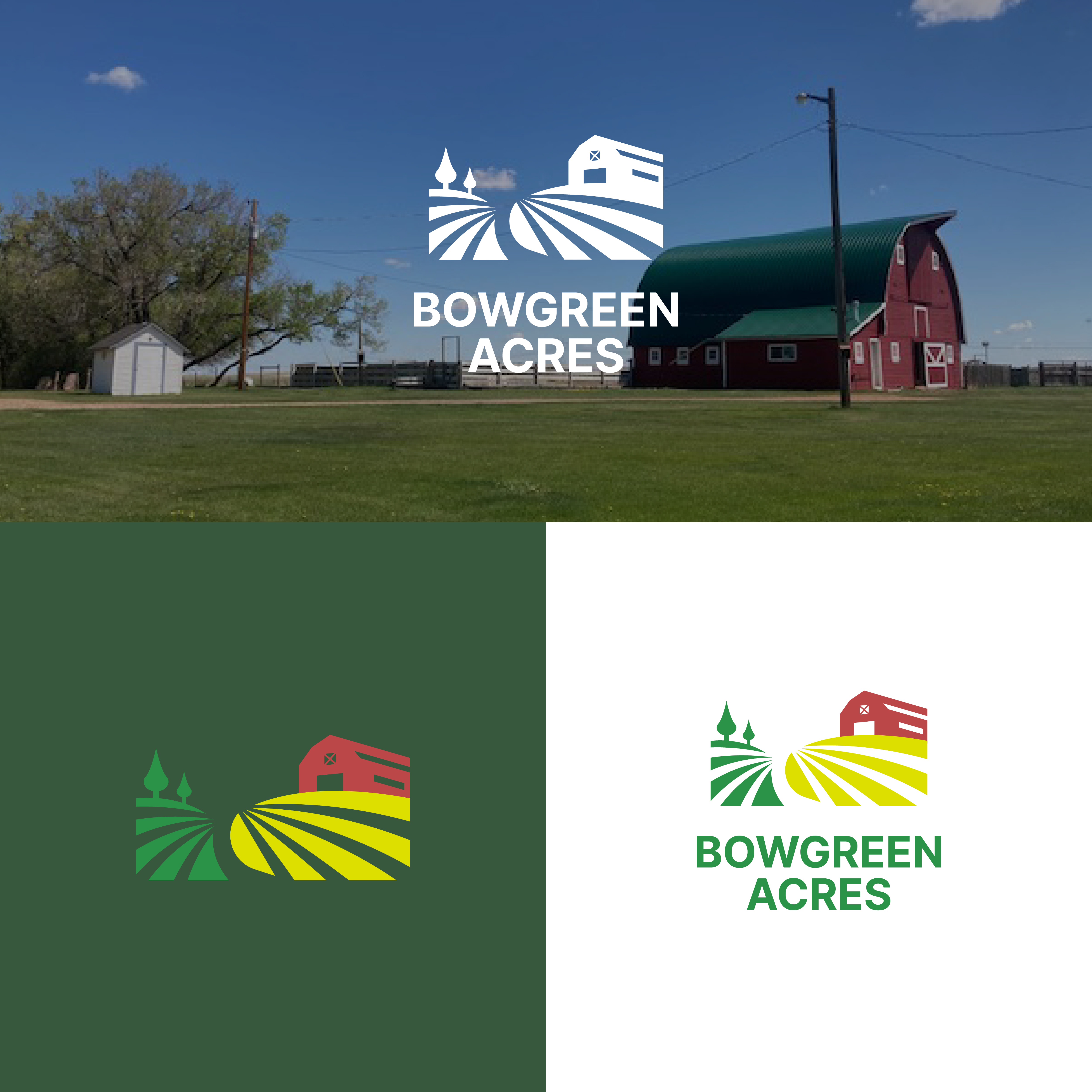 Logo Design by A.R.D.P for BowGreen Environmental | Design #27954394