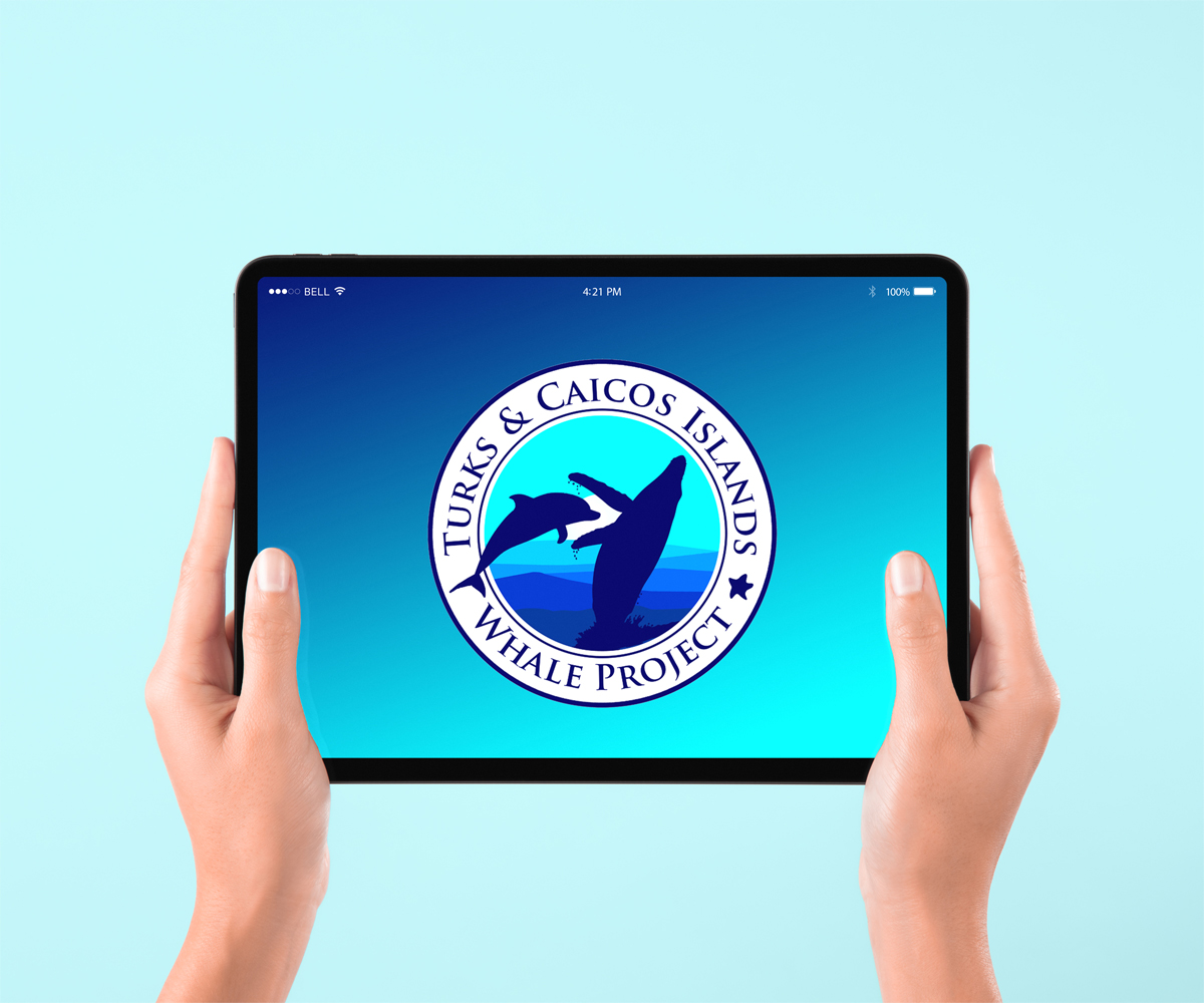 Diseño de Logo por vincent.designpro para este proyecto | Diseño #27979133