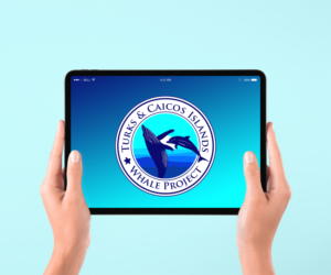 Logo Design by vincent.designpro for this project | Design: #27979427