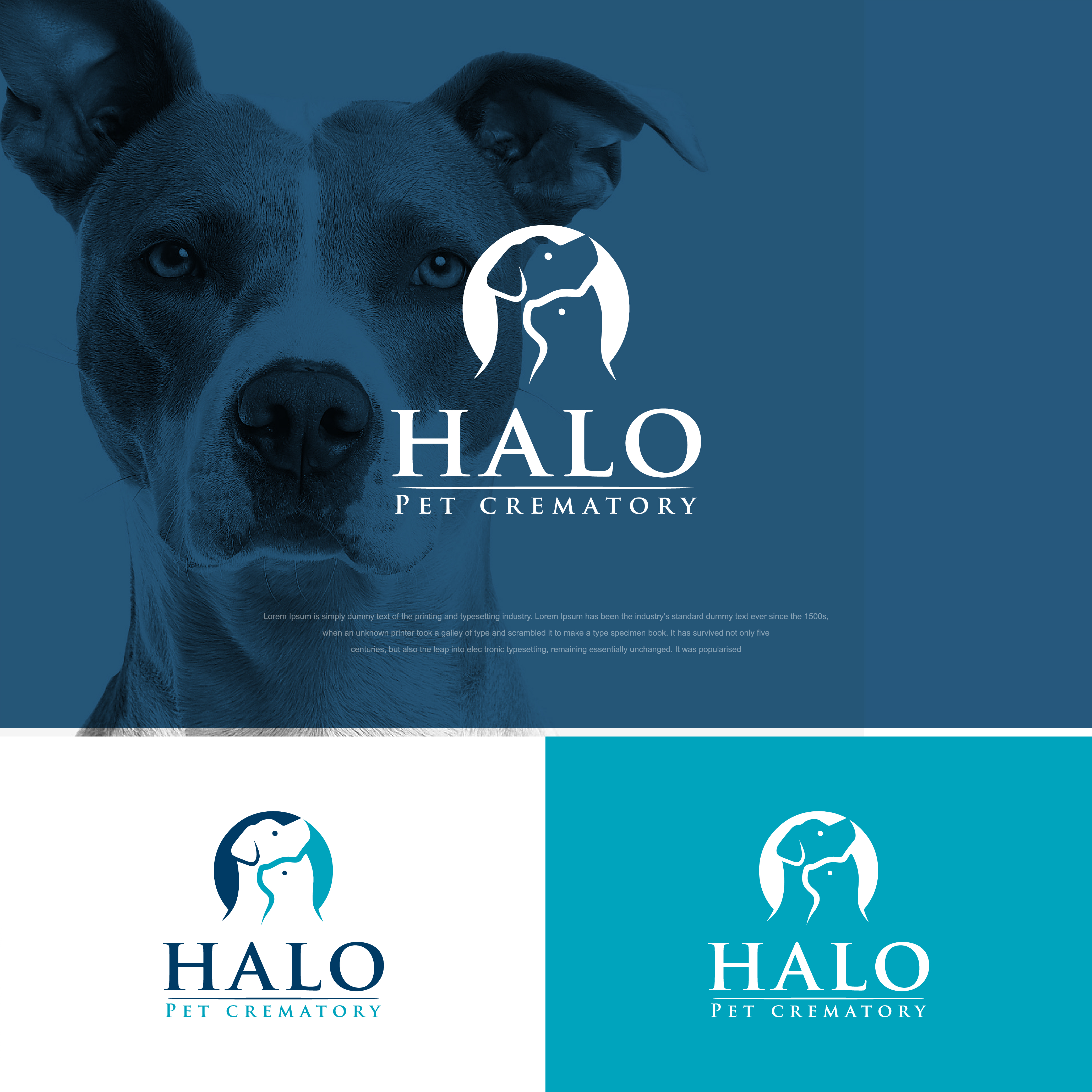 Logo Design by sushsharma99 for this project | Design #27963208