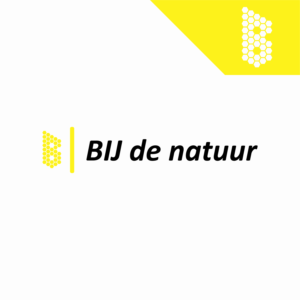 Logo Design by Evatec