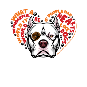 Fundraiser for Heart surgery Rescue Dog