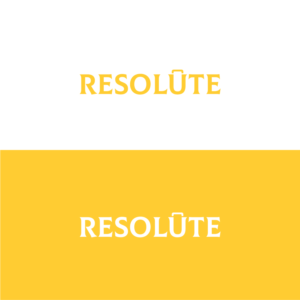 Logo Design by MT Dezines