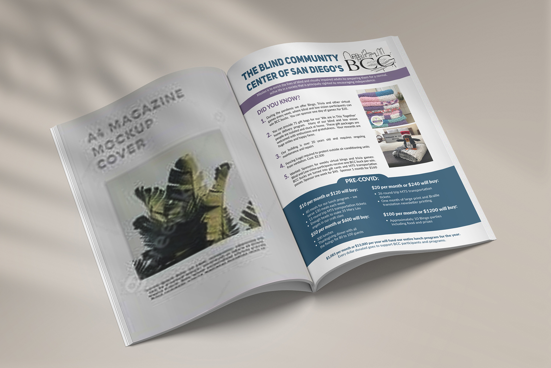 Flyer-Design von Deziners Zone für Blind Community Center of San Diego | Design #27975967