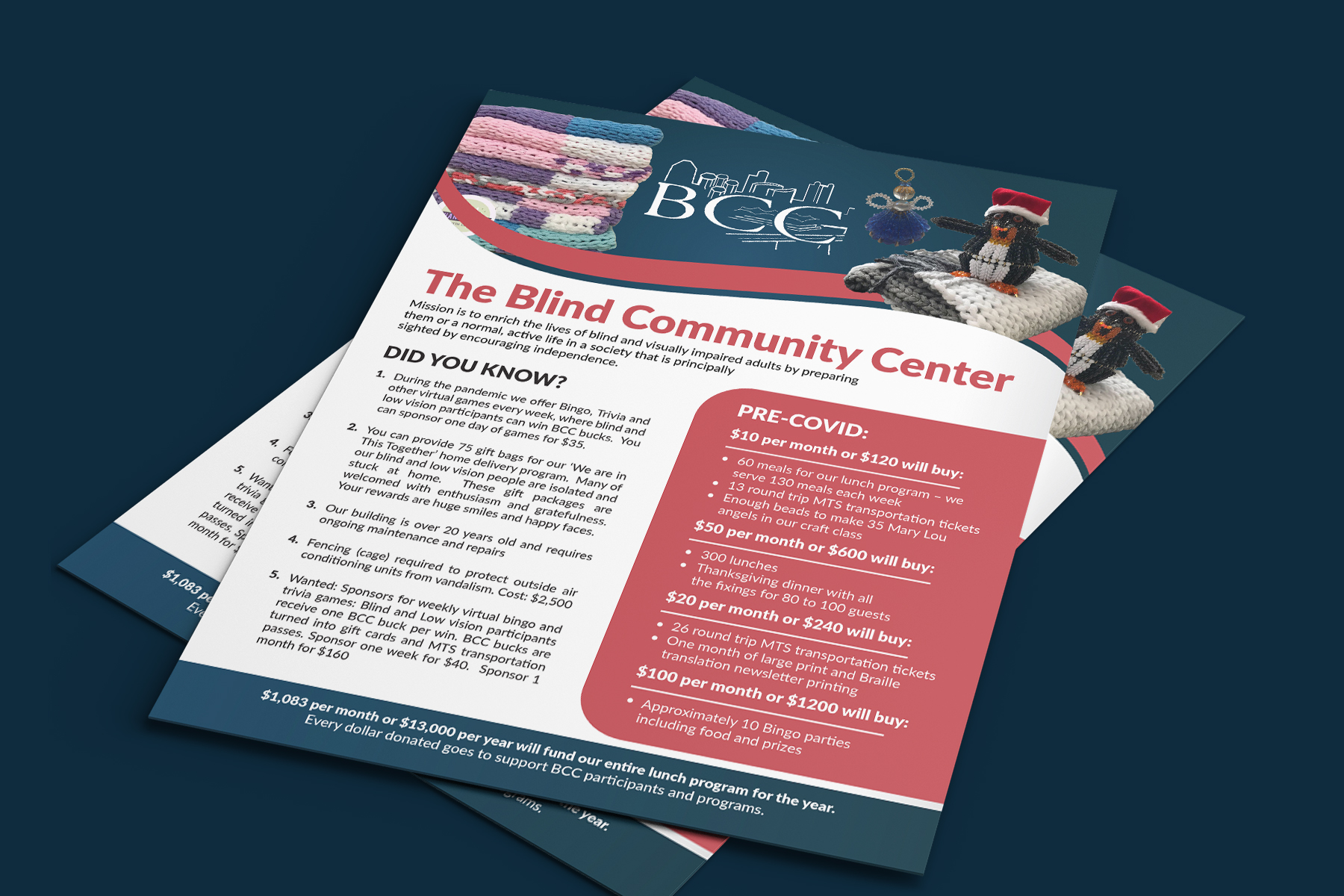 Flyer-Design von Deziners Zone für Blind Community Center of San Diego | Design #27975973